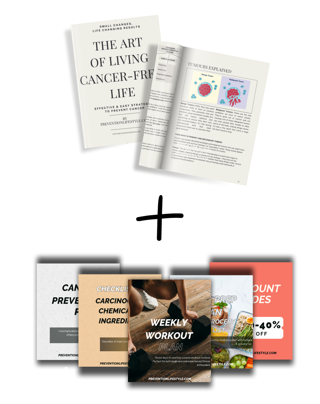 Book + Bonuses (1)