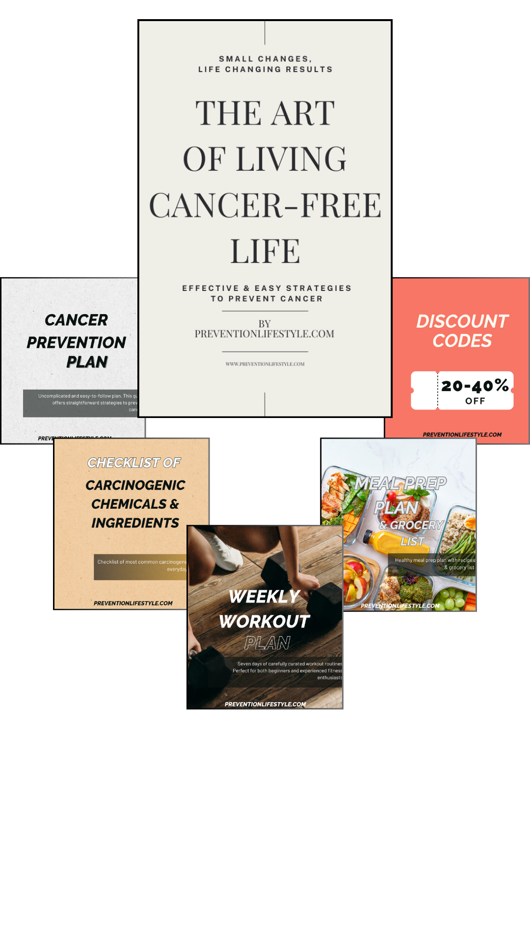 Book + Bonuses The Art Of Living Cancer-Free Life book & bonuses