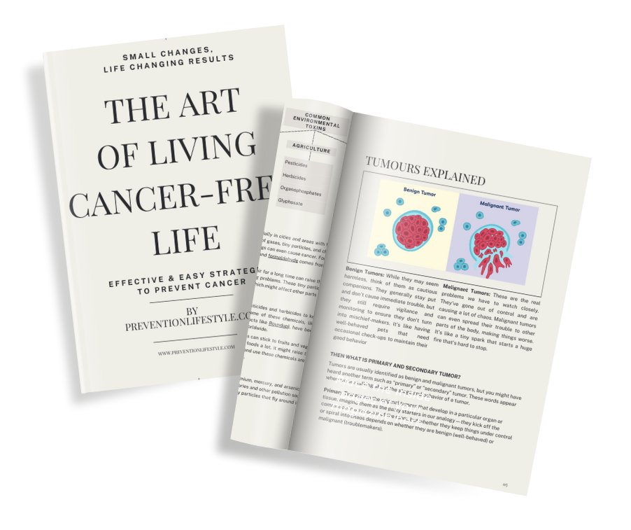 Cover&Inside Book Mockup